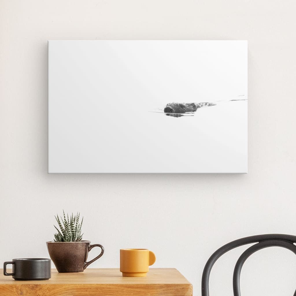 Aquatischer Minimalismus